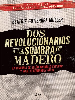cover image of Dos revolucionarios a la sombra de Madero